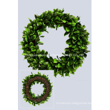 PE Plastic Cabbage Leaf Ring Artificial Plant for Decoration (51179)